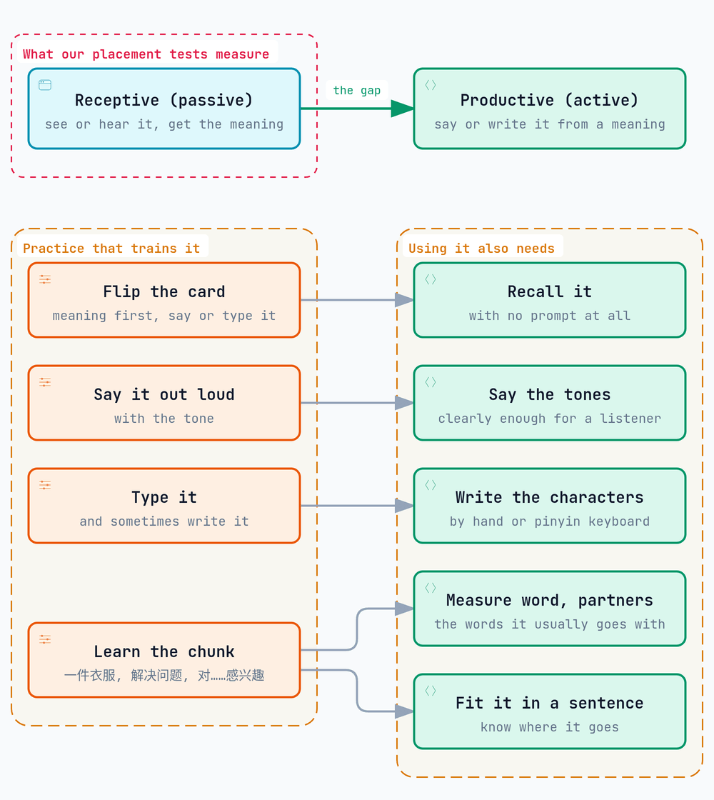 Diagram of the two directions of knowing a word. Receptive (passive): see or hear it and get the meaning, which is what our placement tests measure. Productive (active): say or write it from a meaning. Using a word also needs recall with no prompt, clear tones, the characters, its measure word and partners, and where it fits in a sentence. Arrows show the practice that trains each piece: flip the card to recall it, say it out loud for tones, type it for characters, and learn the chunk (一件衣服, 解决问题, 对……感兴趣) for measure words, partners and sentence position